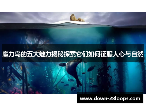 魔力鸟的五大魅力揭秘探索它们如何征服人心与自然 魔力鸟的五大魅力揭秘探索它们如何征服人心与自然