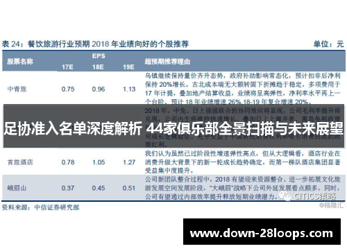 足协准入名单深度解析 44家俱乐部全景扫描与未来展望